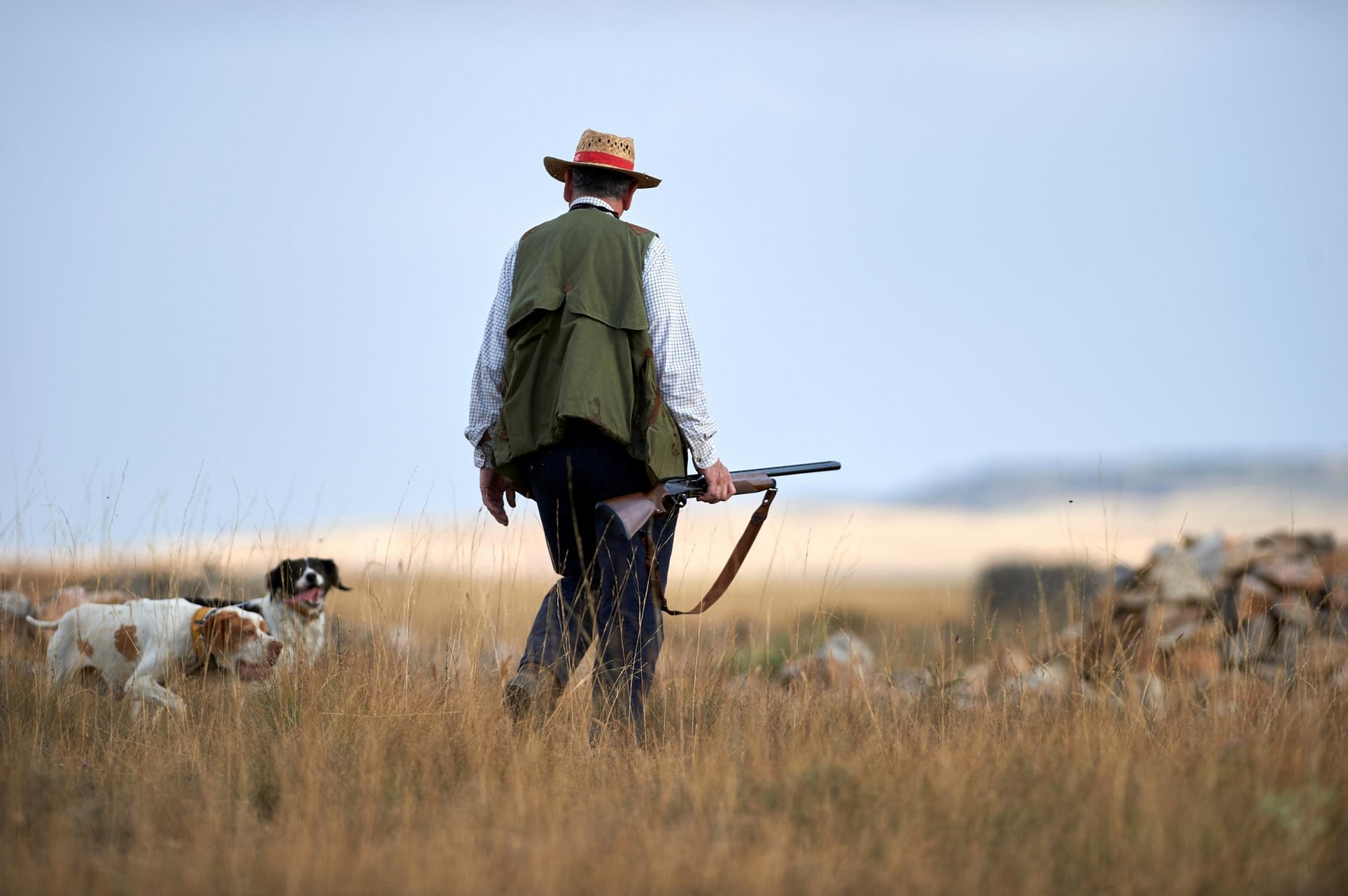 Thomas County is renowned for its world-class Bobwhite quail hunting, earning it the title of 