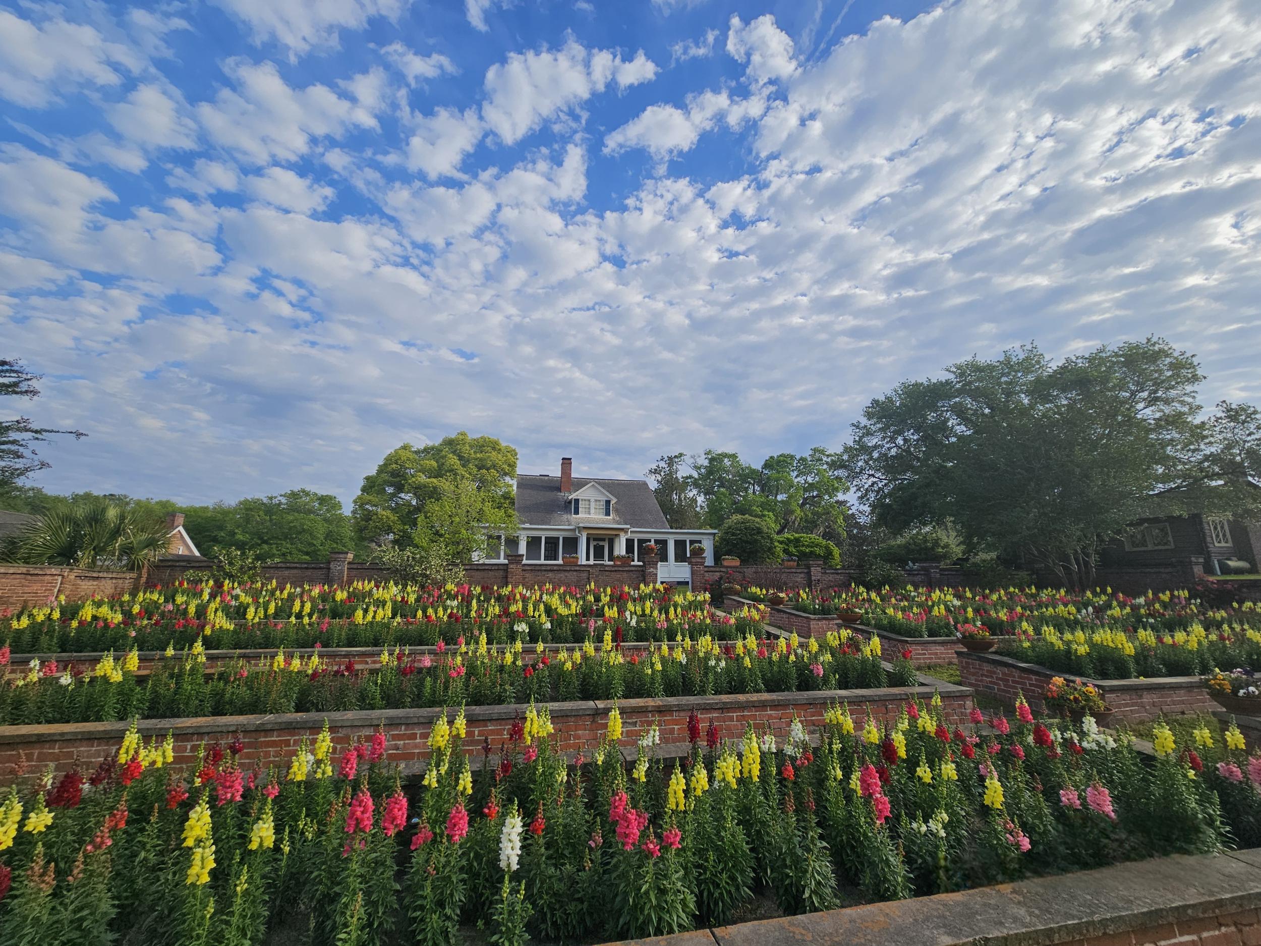 Click to Read Pebble Hill celebrates Thomasville’s Rose Festival with Guided Grounds Tours and a Discount on Admission Photo for Pebble Hill celebrates Thomasville’s Rose Festival with Guided Grounds Tours and a Discount on Admission