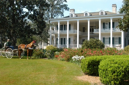 Click to Read Pebble Hill Plantation: A 200-Year Legacy Exhibition Photo for Pebble Hill Plantation: A 200-Year Legacy Exhibition