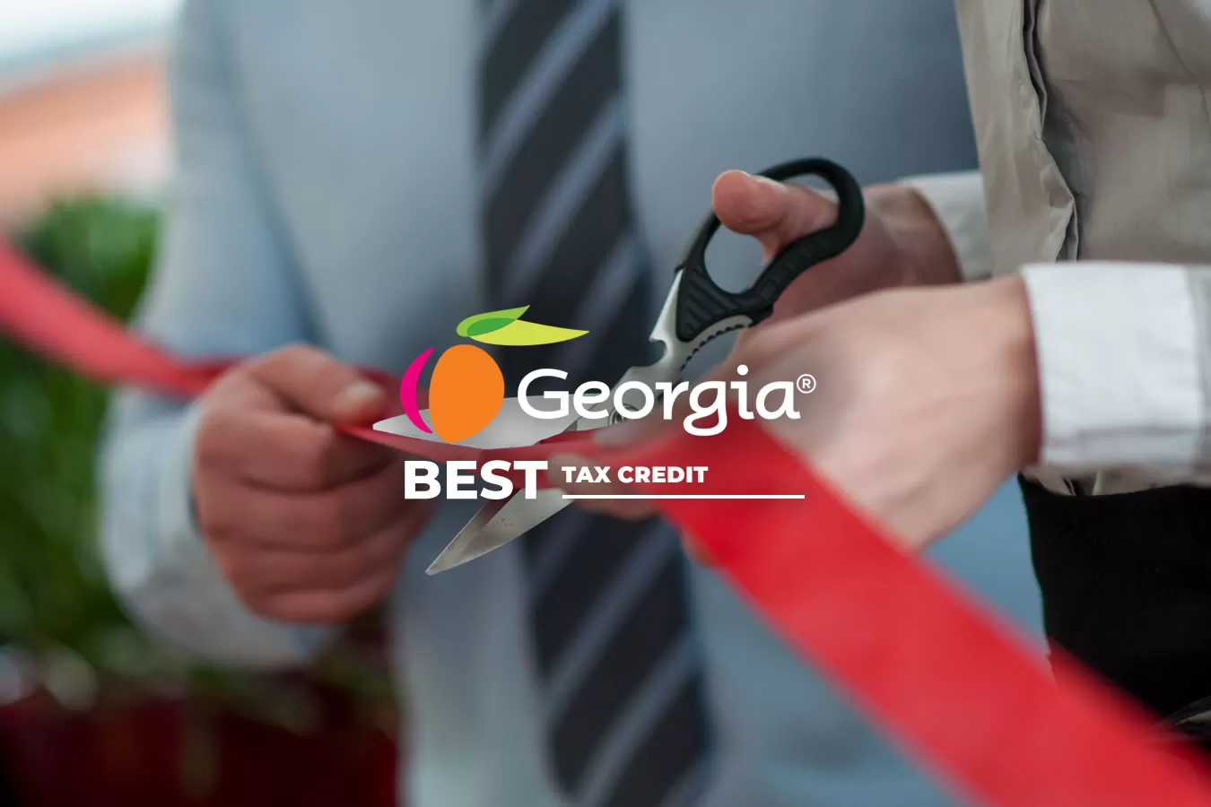 Georgia Best Tax Credits